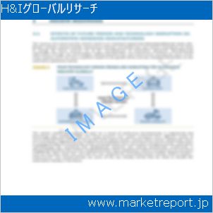 市場と産業調査レポートのイメージ